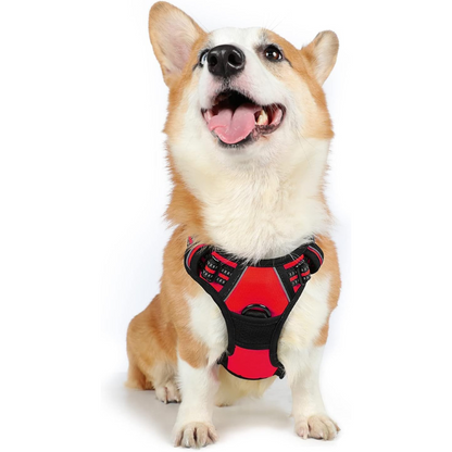 Zero-Pull Adjustable Dog Harness