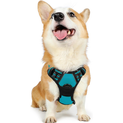 Zero-Pull Adjustable Dog Harness