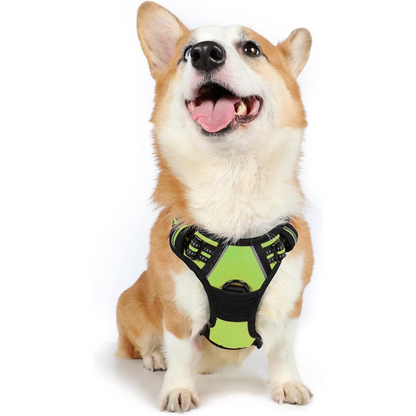 Zero-Pull Adjustable Dog Harness