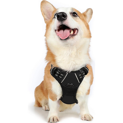 Zero-Pull Adjustable Dog Harness