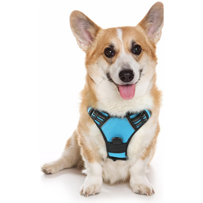 Zero-Pull Adjustable Dog Harness