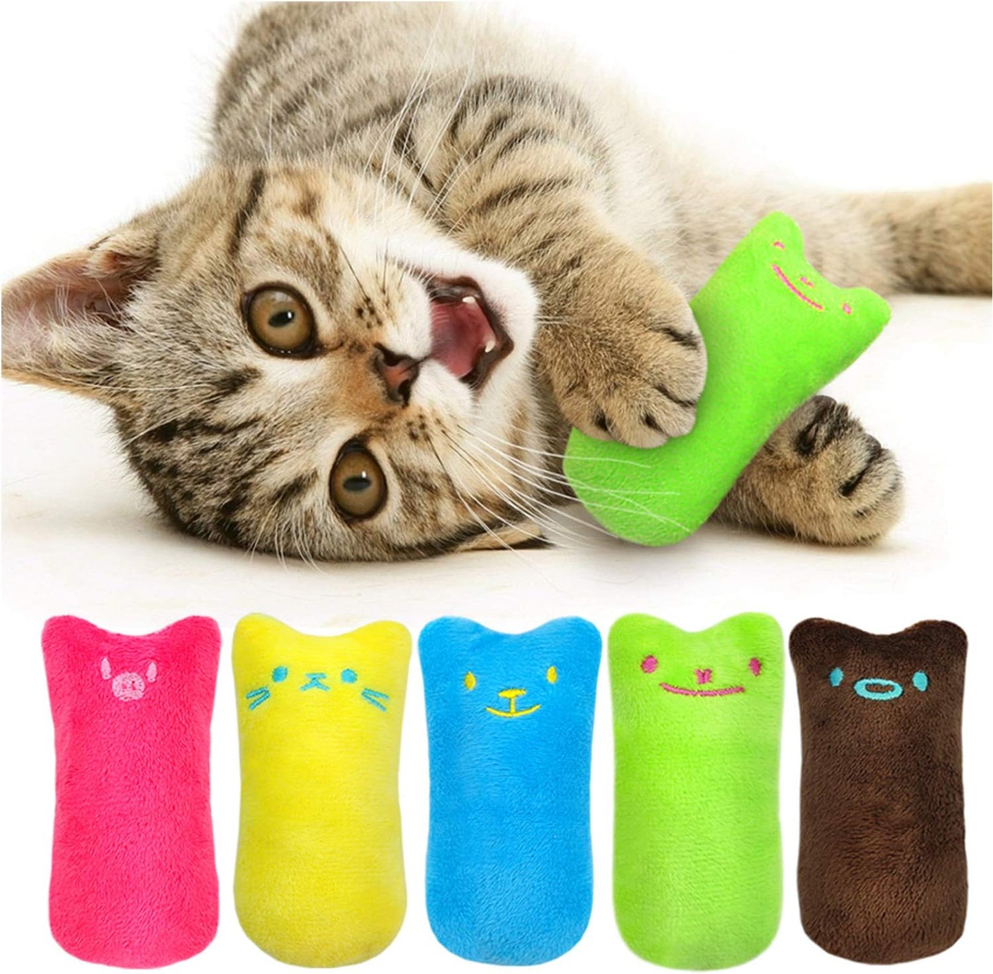 5Pcs Bite Resistant Catnip Toy