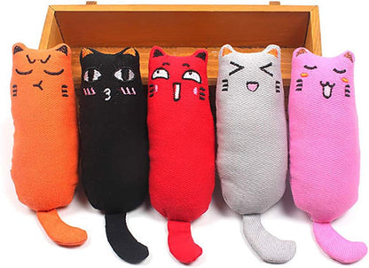 5Pcs Bite Resistant Catnip Toy