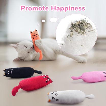 5Pcs Bite Resistant Catnip Toy