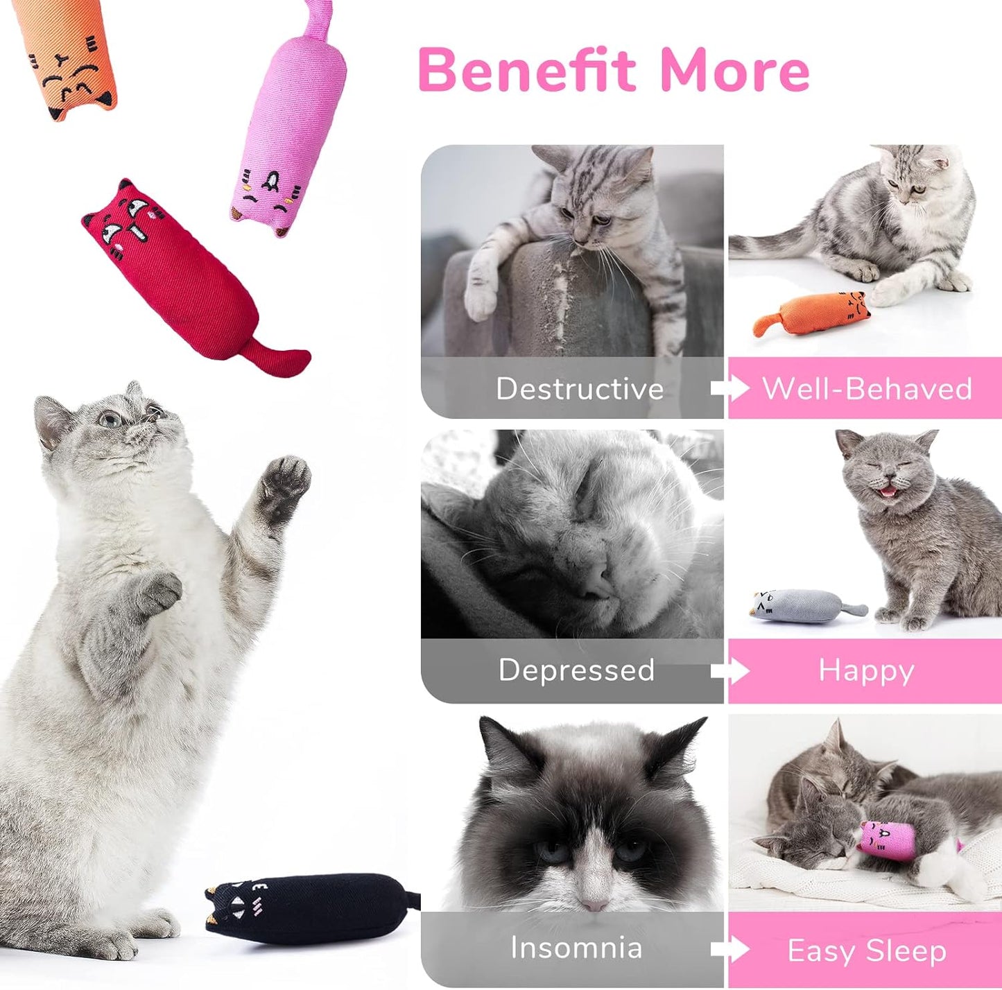 5Pcs Bite Resistant Catnip Toy