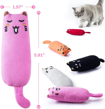 5Pcs Bite Resistant Catnip Toy