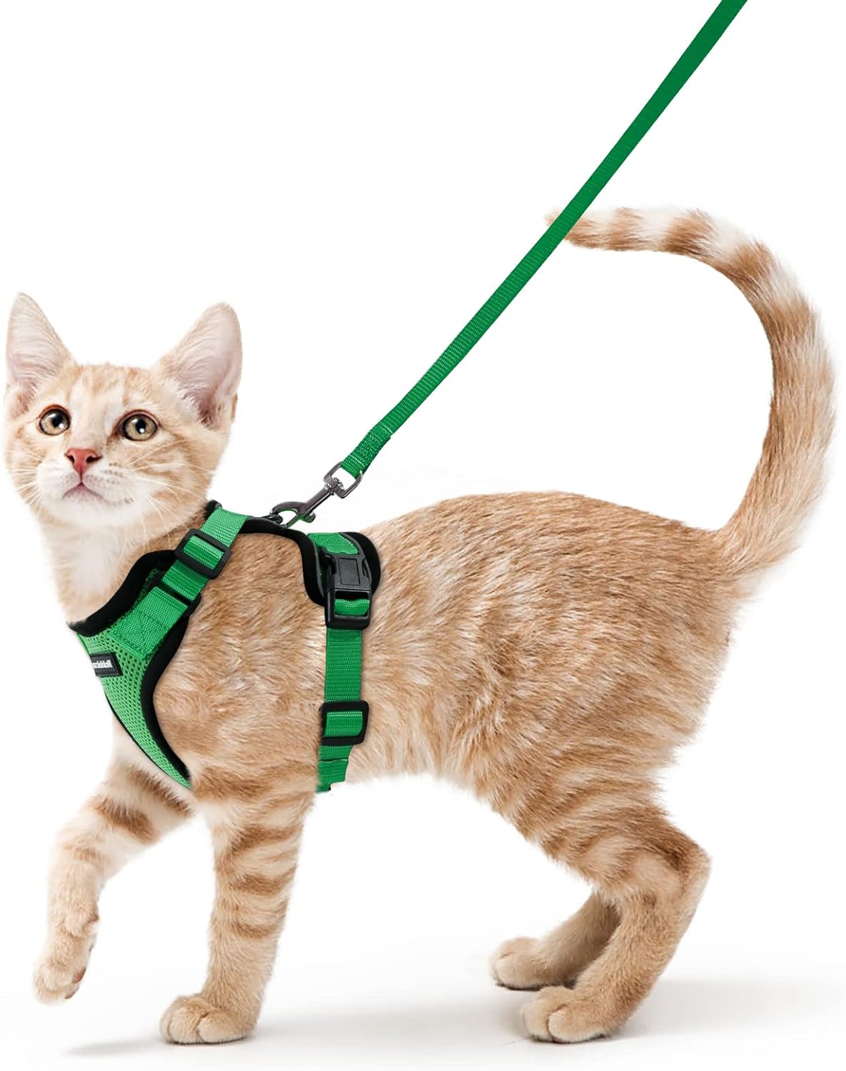 Cat Harness and Leash Set