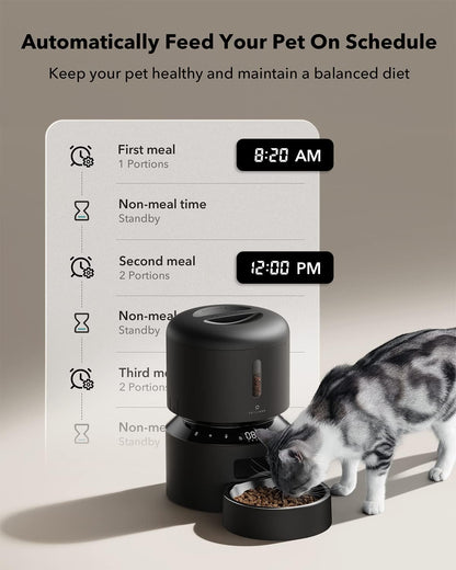 Automatic Cat Feeder