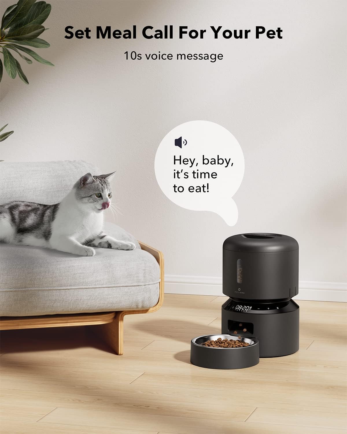 Automatic Cat Feeder