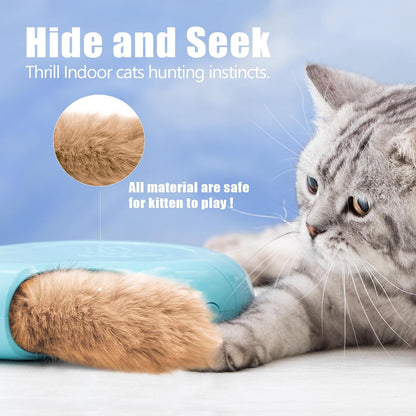 Automatic & Interactive Cat Toy