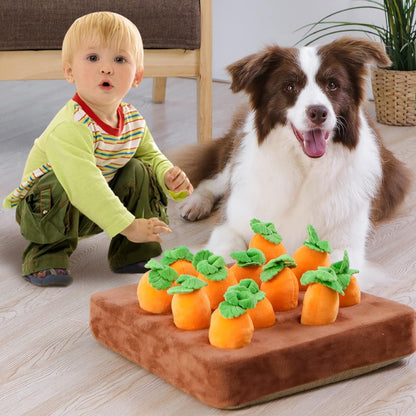 Carrot Snuffle Mat