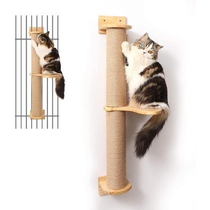 Cat Activity Tree