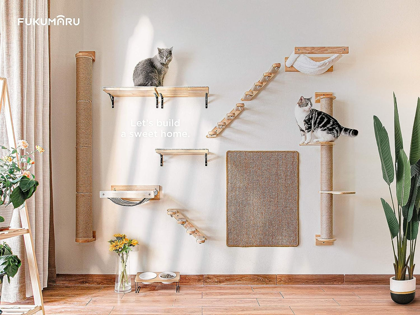 Cat Climbing Shelf Wall