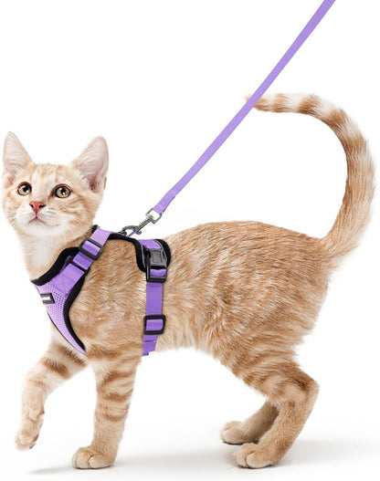 Cat Harness and Leash Set