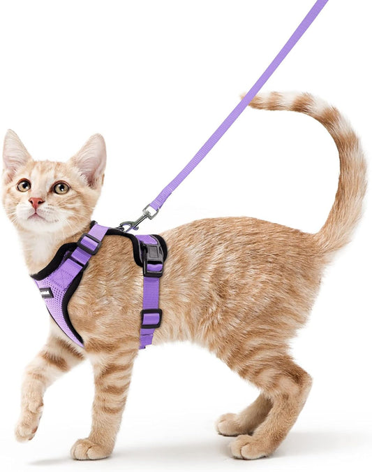 Cat Harness and Leash Set