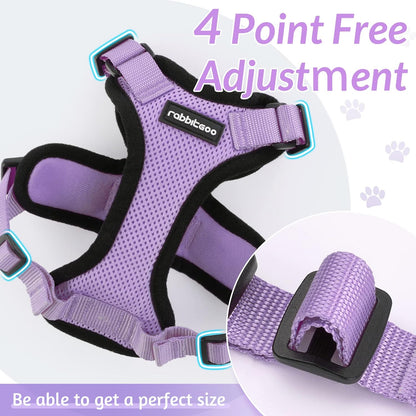 Cat Harness and Leash Set