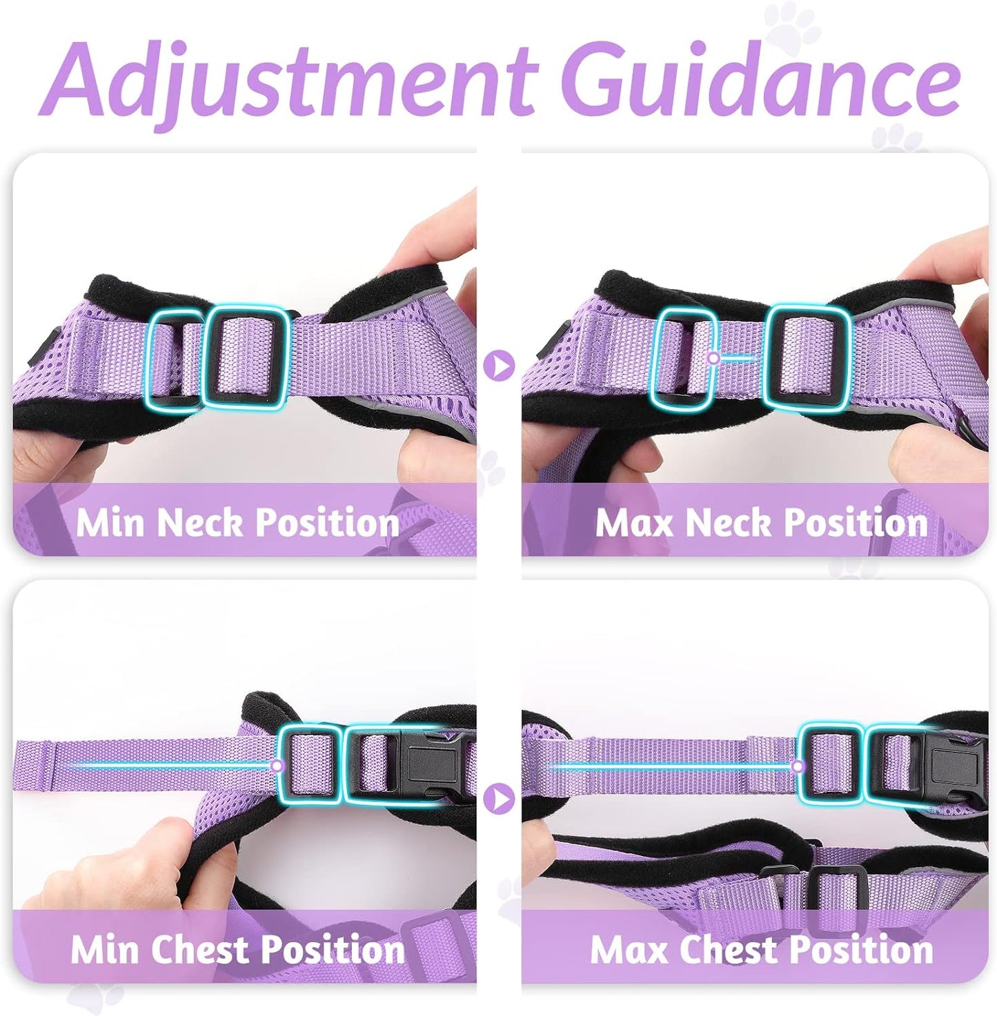 Cat Harness and Leash Set