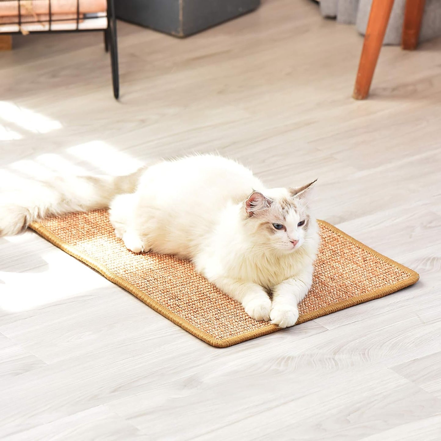 Cat Scratcher Mat