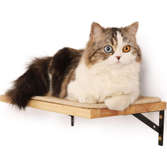 16 x 10 Inch Cat Wall Furniture with Sisal Mat