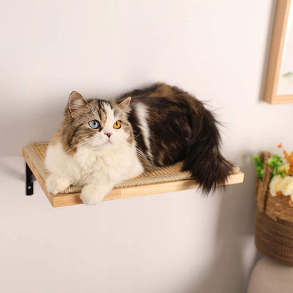 16 x 10 Inch Cat Wall Furniture with Sisal Mat