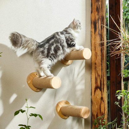 Cat Wall Steps for Drywall