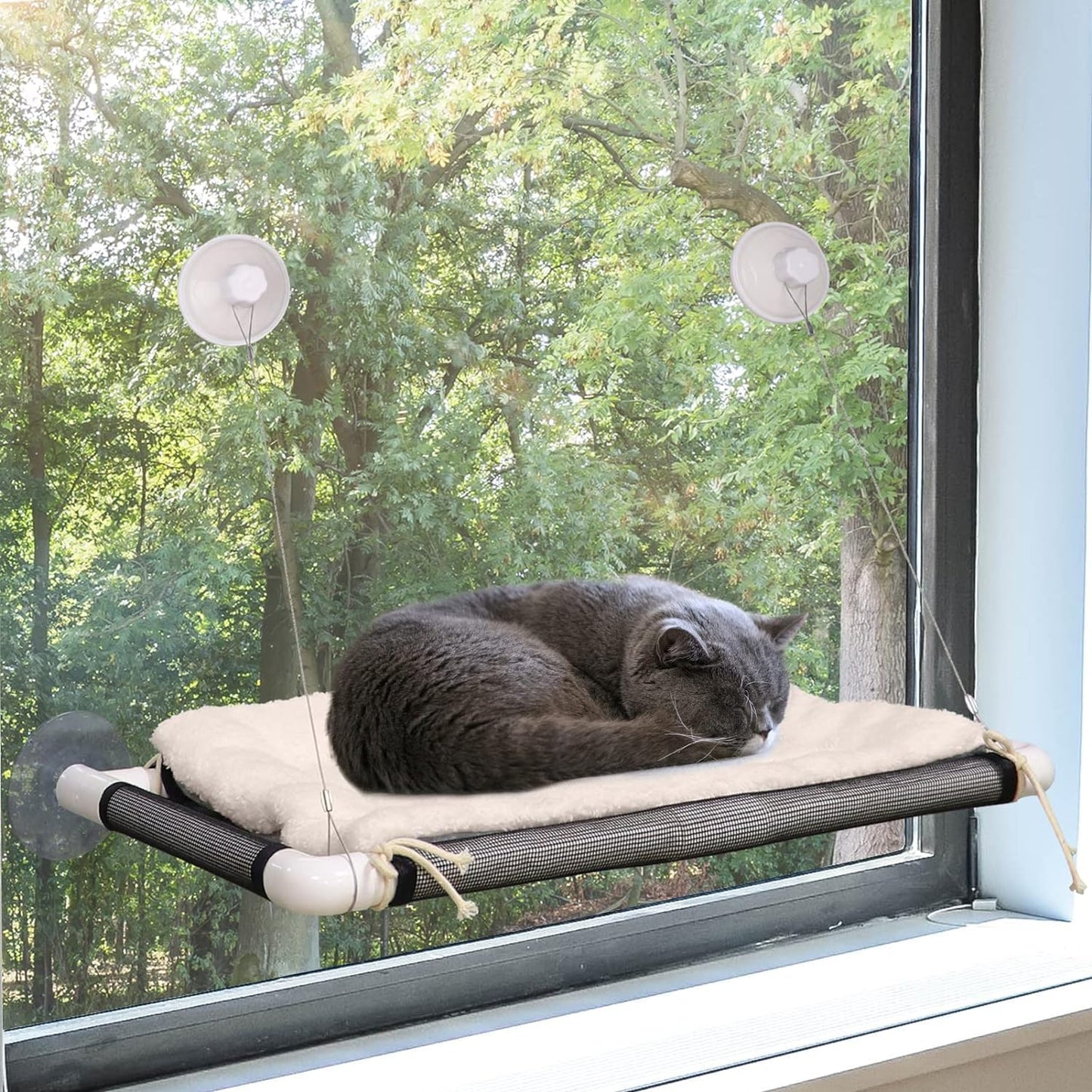 Cat Window Perch