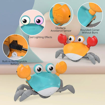 CrabCraze - Interactive Dog Toy