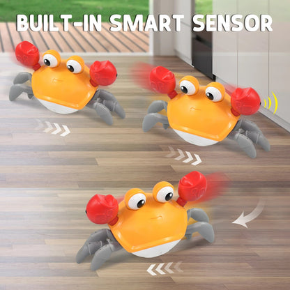 CrabCraze - Interactive Dog Toy