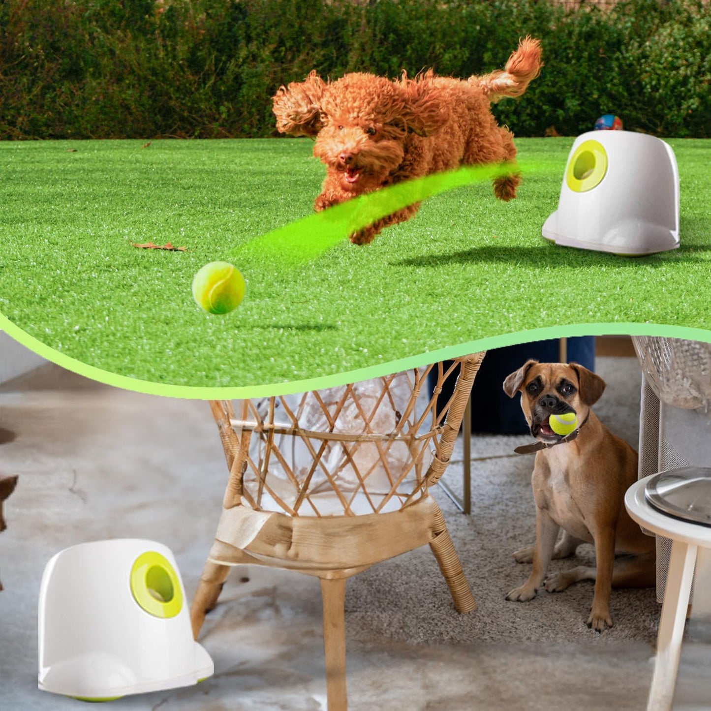 Dog Ball Launcher