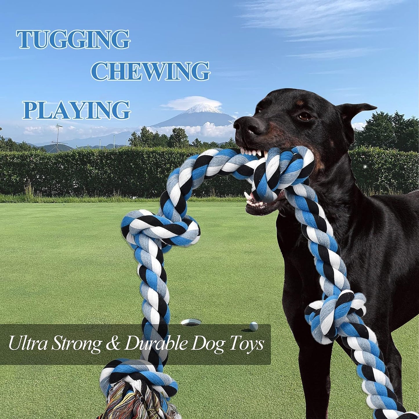 Dog Cotton Rope Tug Toy