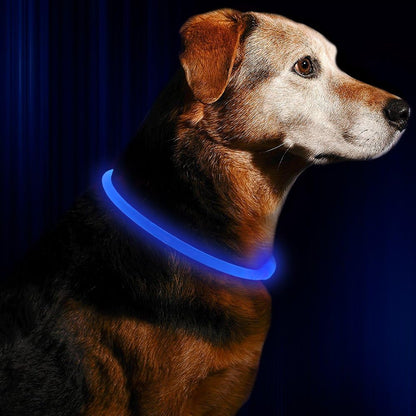 Dog LED Collar