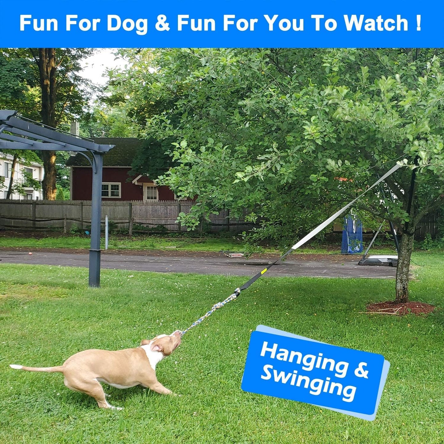 Dog Outdoor Bungee Tug Toy