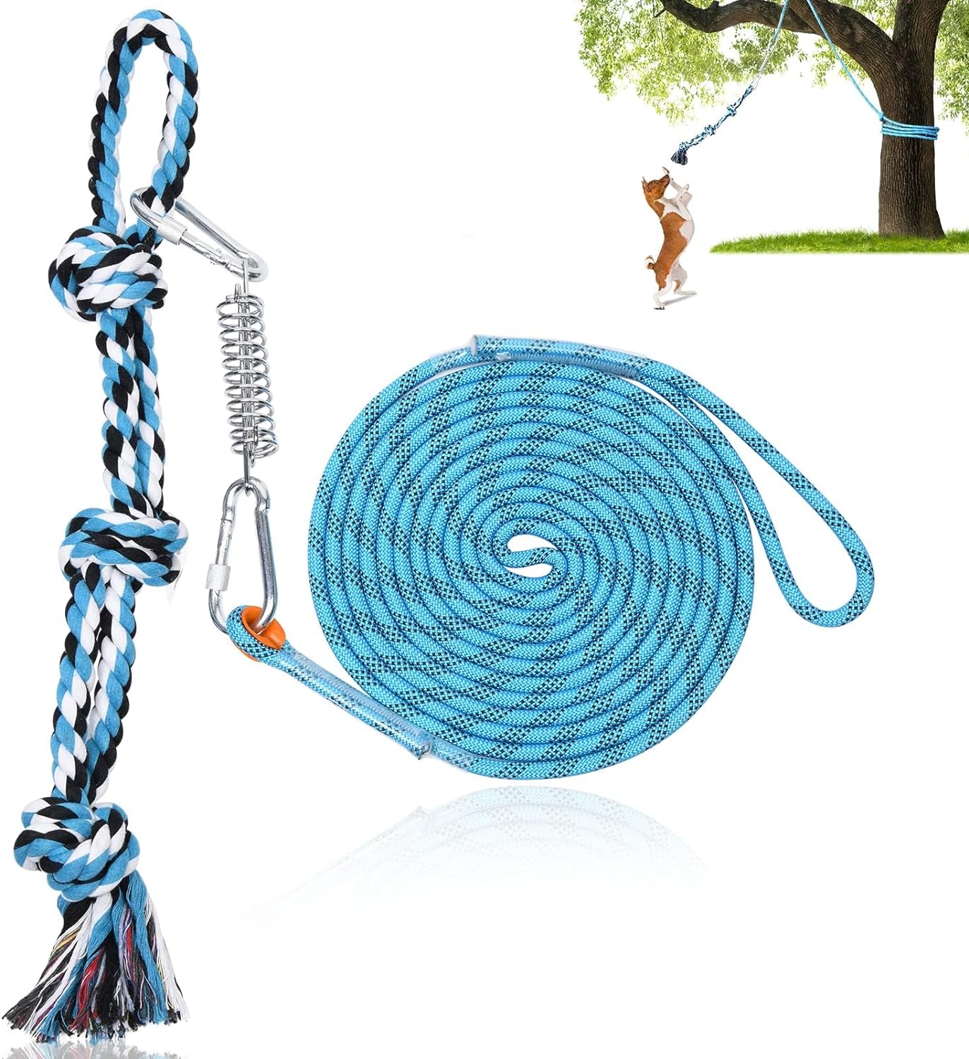 Dog Outdoor Bungee Tug Toy