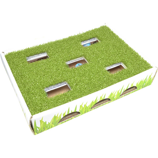 Grass Hunting Box Cat Toy