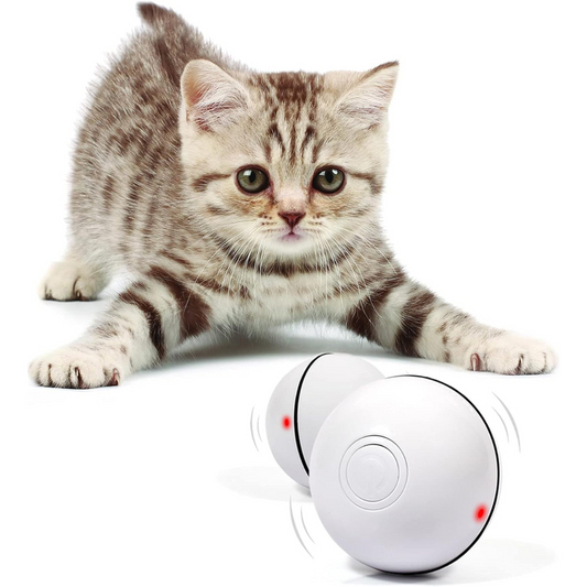 Smart Interactive Cat Toy