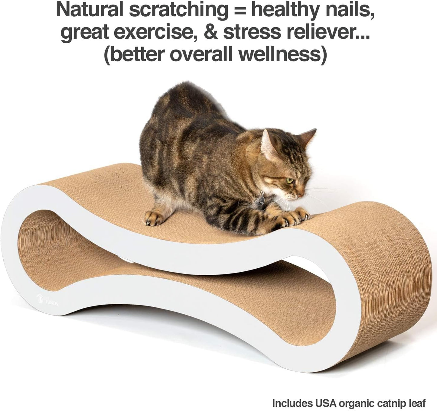 Ultimate Cat Scratcher Lounge