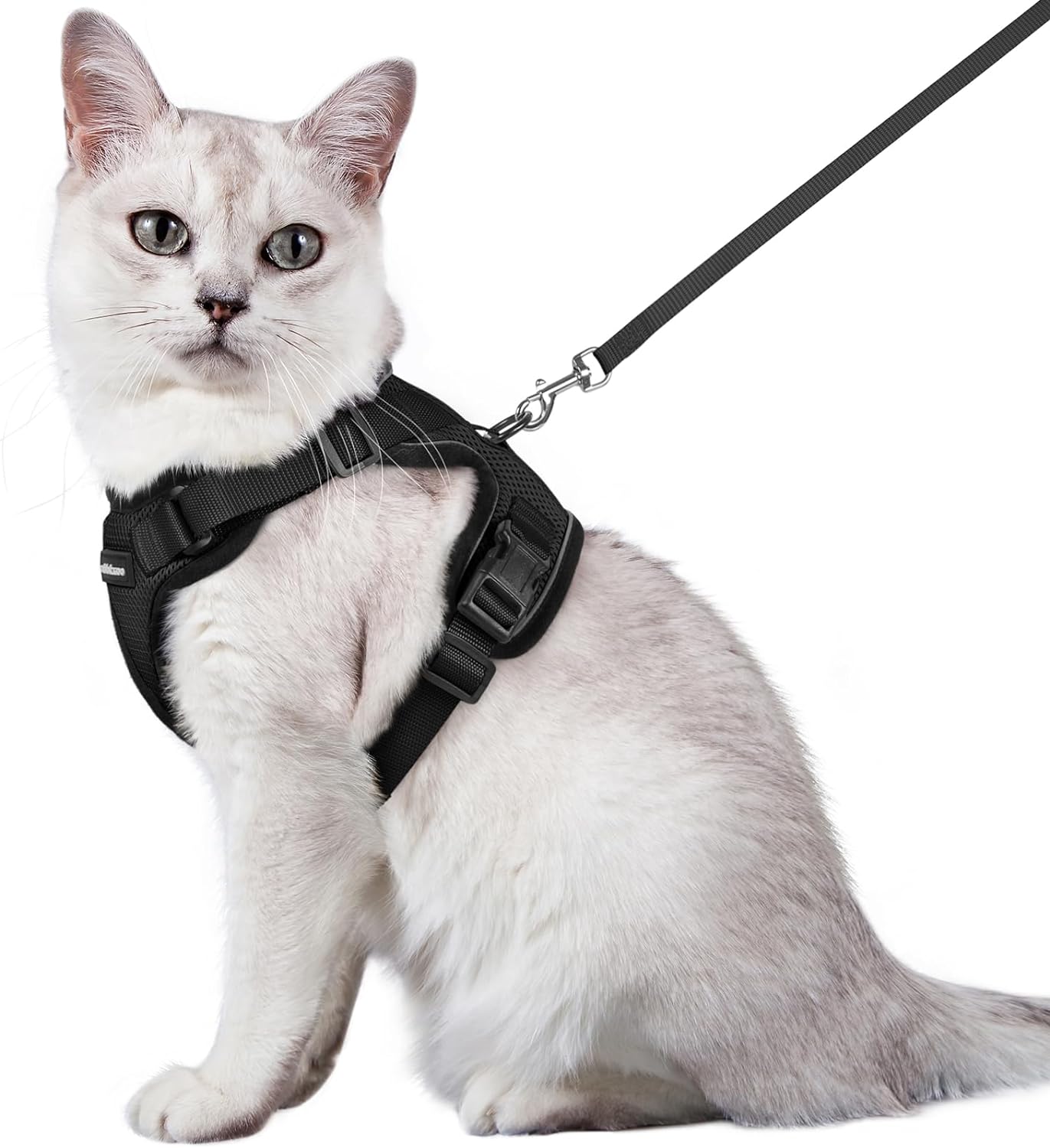 Cat Harness and Leash Set