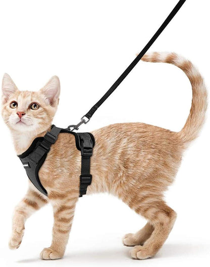 Cat Harness and Leash Set