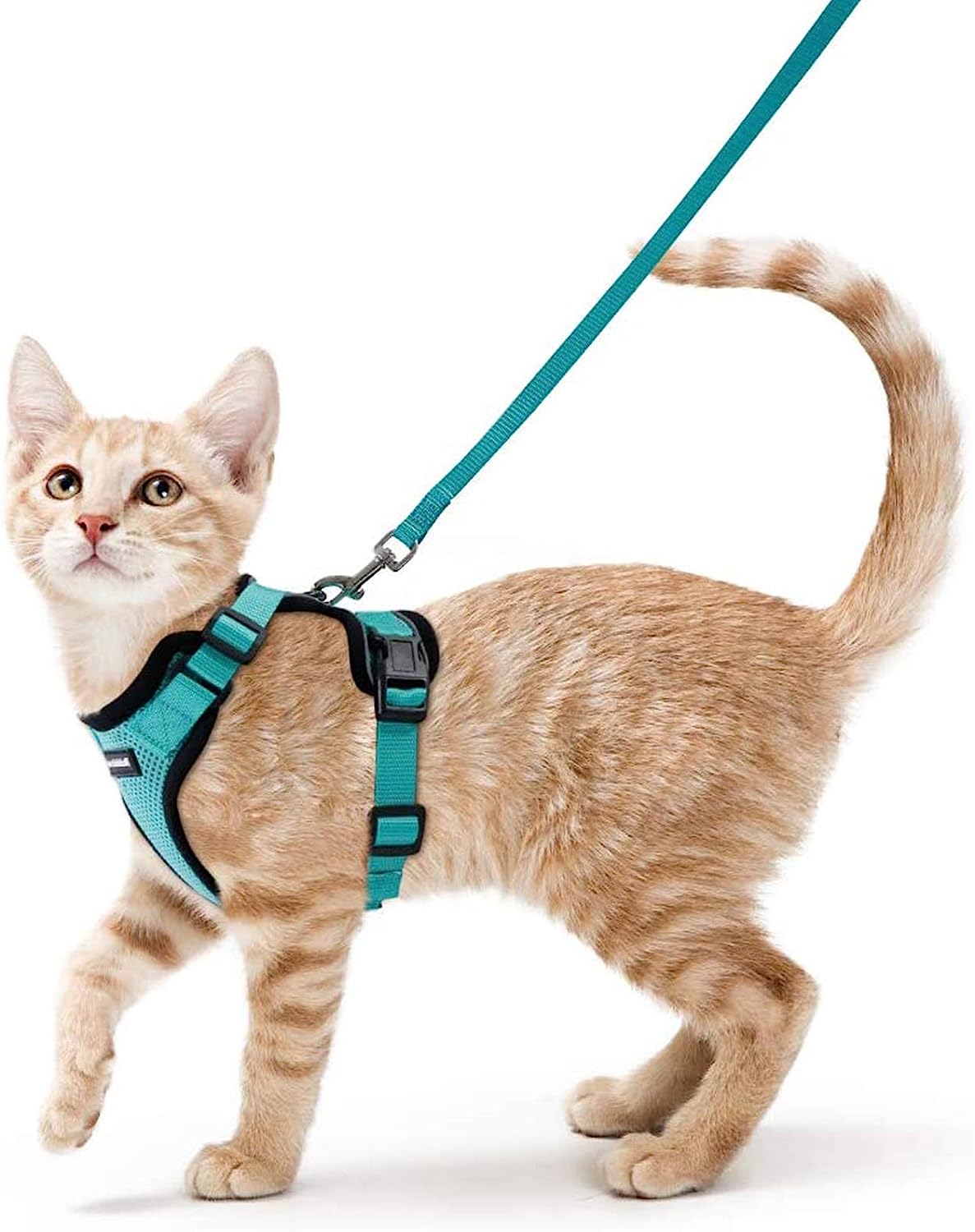 Cat Harness and Leash Set