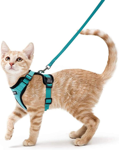 Cat Harness and Leash Set