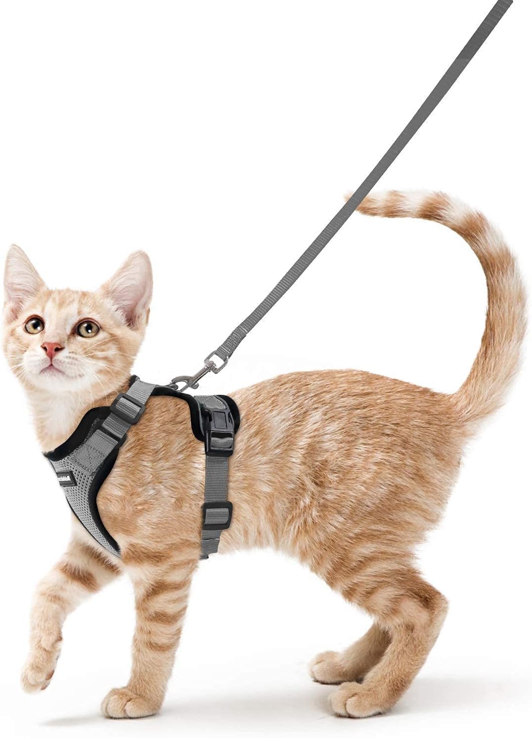 Cat Harness and Leash Set