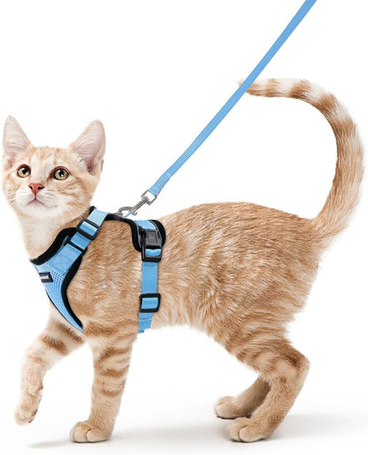 Cat Harness and Leash Set