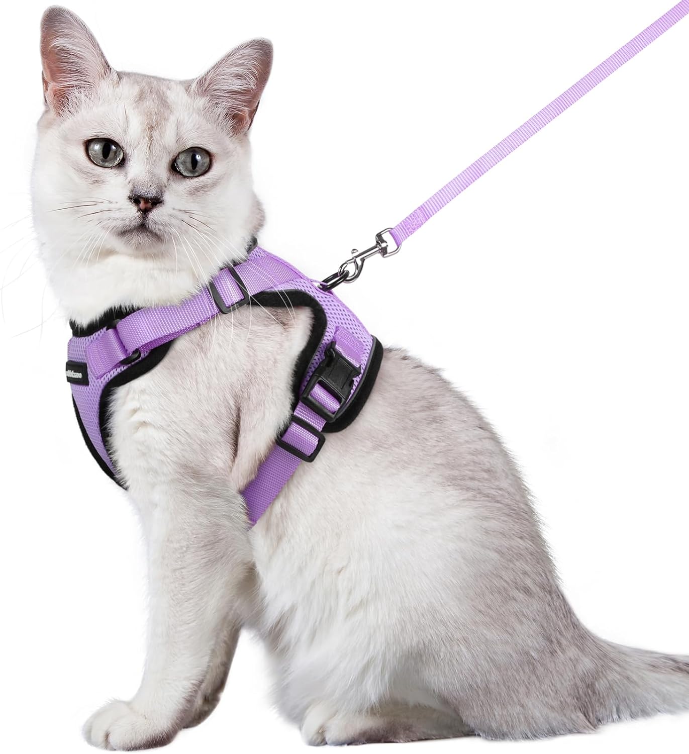 Cat Harness and Leash Set