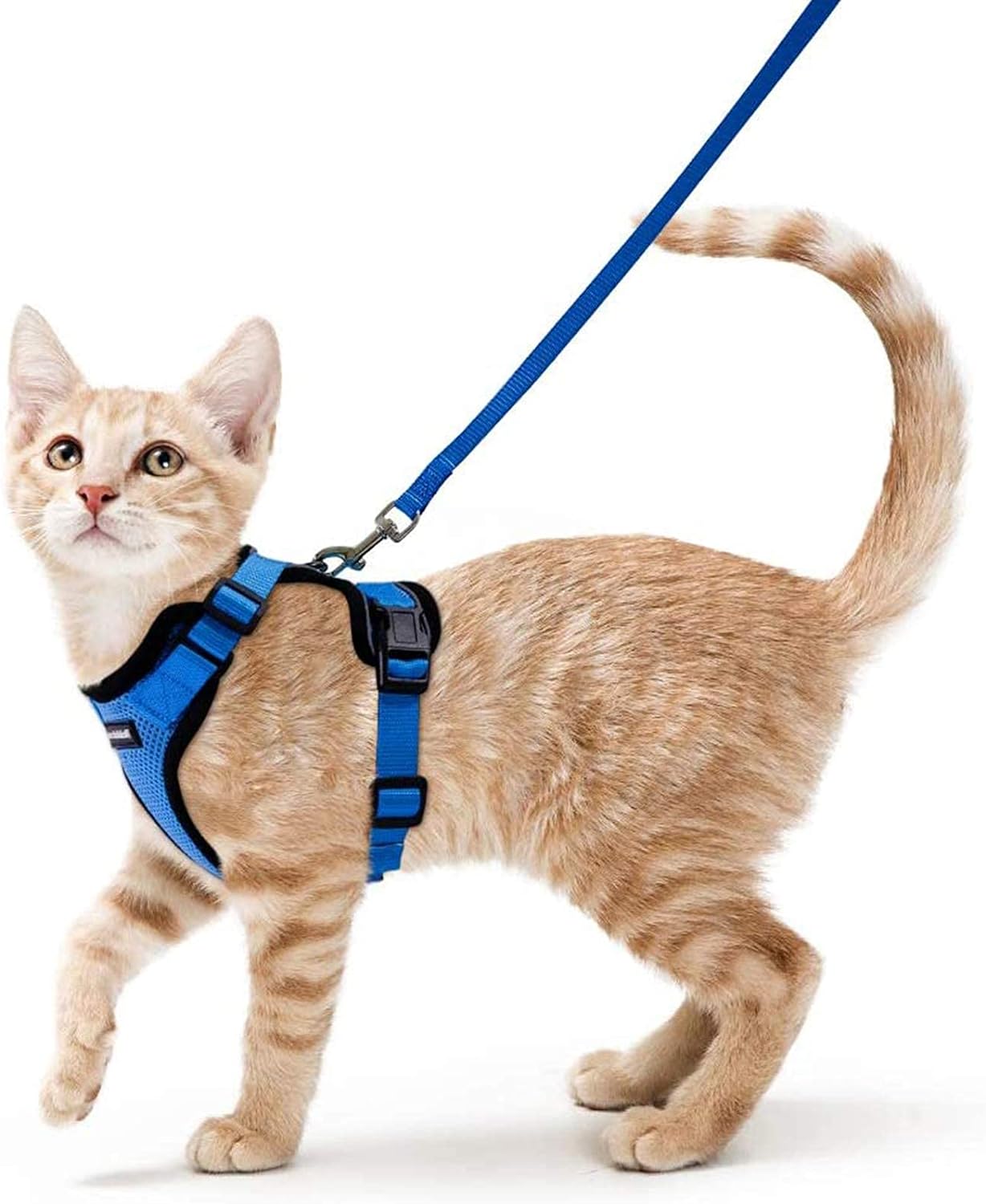 Cat Harness and Leash Set