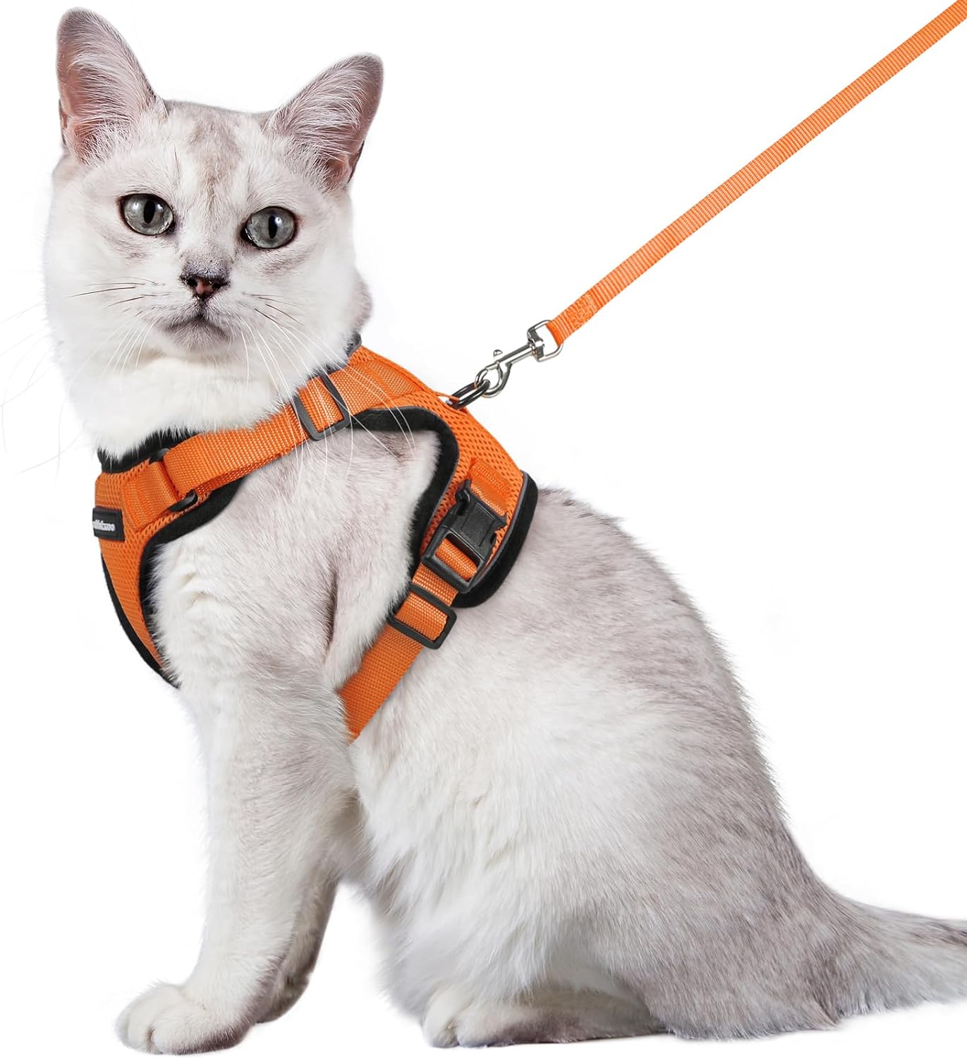 Cat Harness and Leash Set