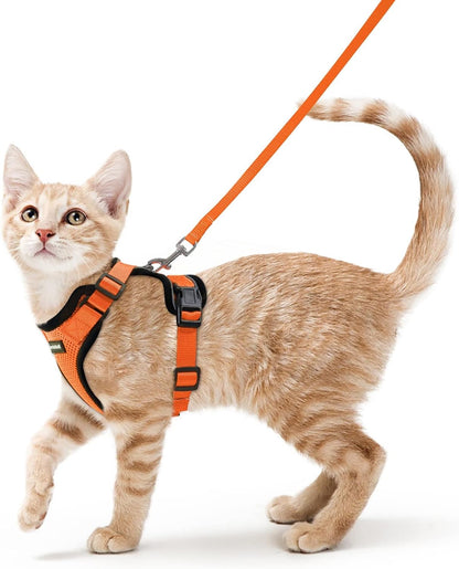 Cat Harness and Leash Set