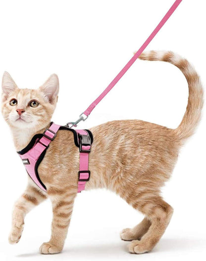 Cat Harness and Leash Set