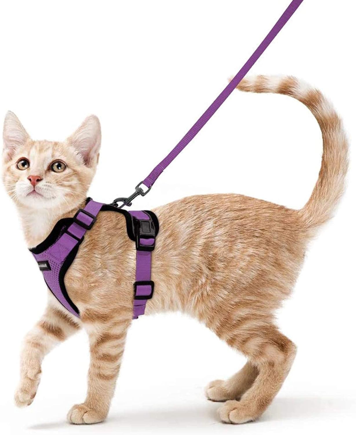 Cat Harness and Leash Set