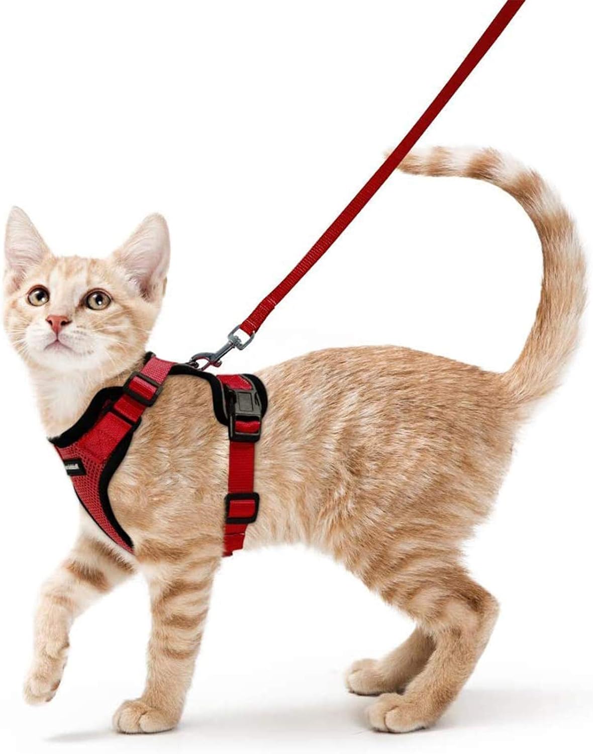 Cat Harness and Leash Set