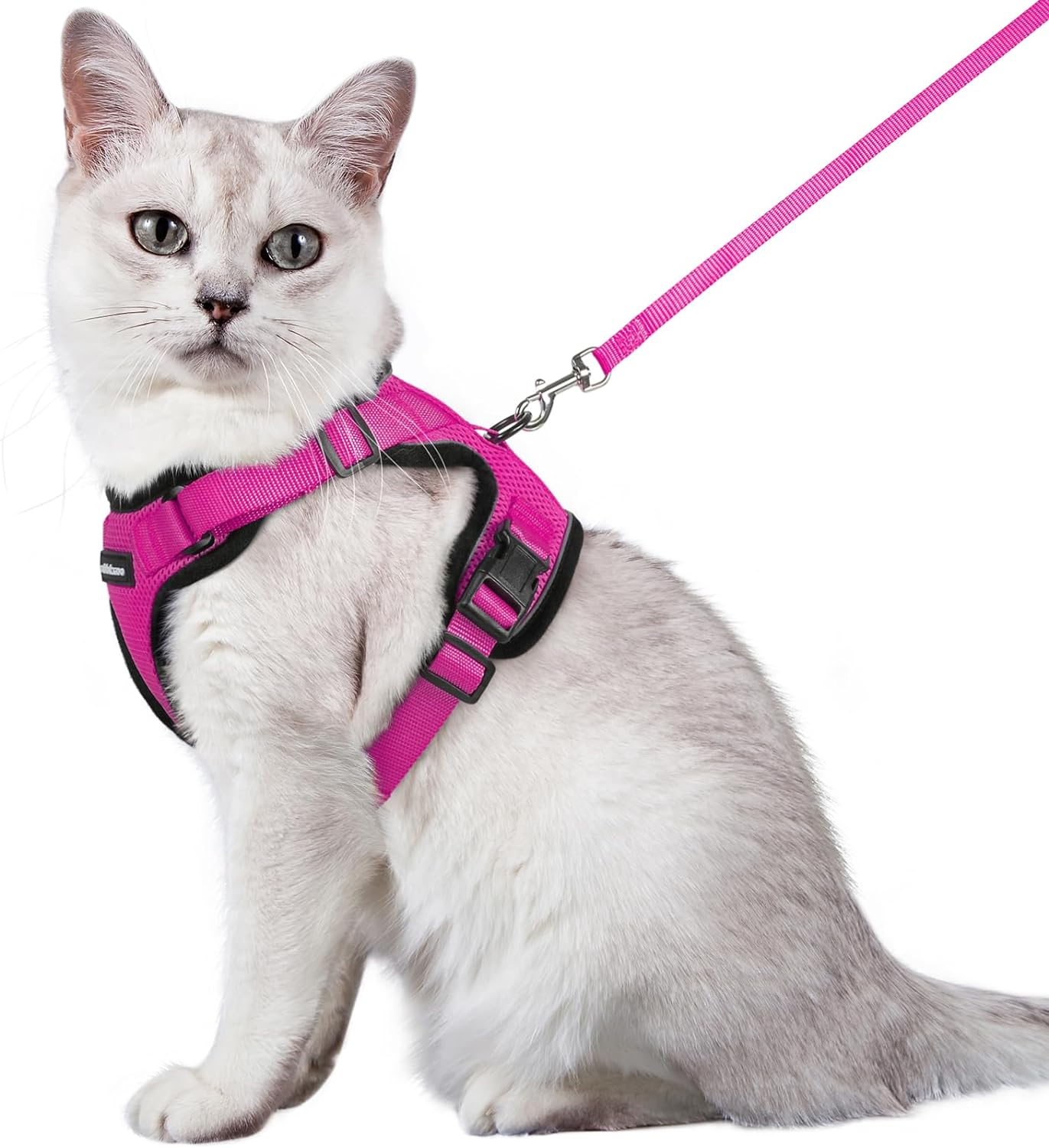 Cat Harness and Leash Set